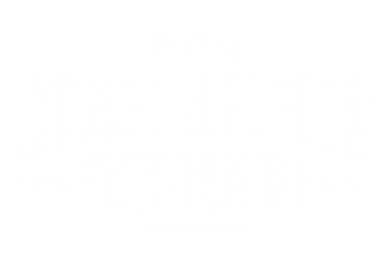 Craft Spirits Exchange footer logo. link to homepage